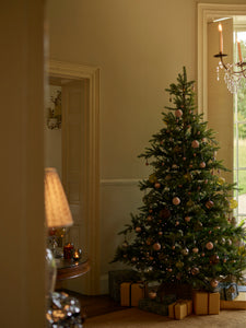 How to choose the perfect Christmas tree