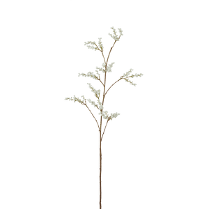 Neptune Flowers & Plants Mimosa Spray