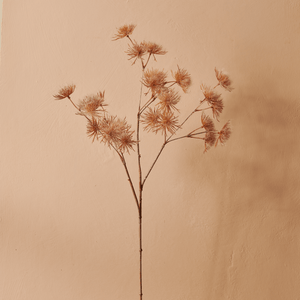 Neptune Flowers & Plants Queen Annes Lace Spray